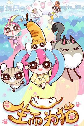 芝罘智能响应式网站优化